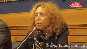 Maria Elena Delia presenta il libro Global Sumud Flotilla: la conferenza stampa alla Camera – Diretta