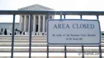 'Birth tourism,' through rare, prompts talk of barring pregnant women from entering US