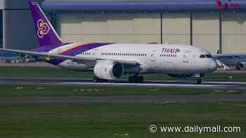 The paltry amount Thai Airways flight attendant was allegedly paid to smuggle $500,000 worth of heroin into Australia