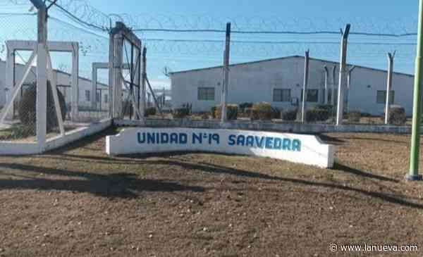 Una mujer intentó ingresar 71 bochas de marihuana a la cárcel de Saavedra