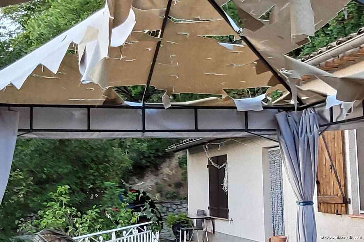 Poules tuées, voitures abîmées, tuiles cassées, plantes déchiquetées… Un orage de grêle cause d’énormes dégâts dans un village de l’arrière-pays de Nice