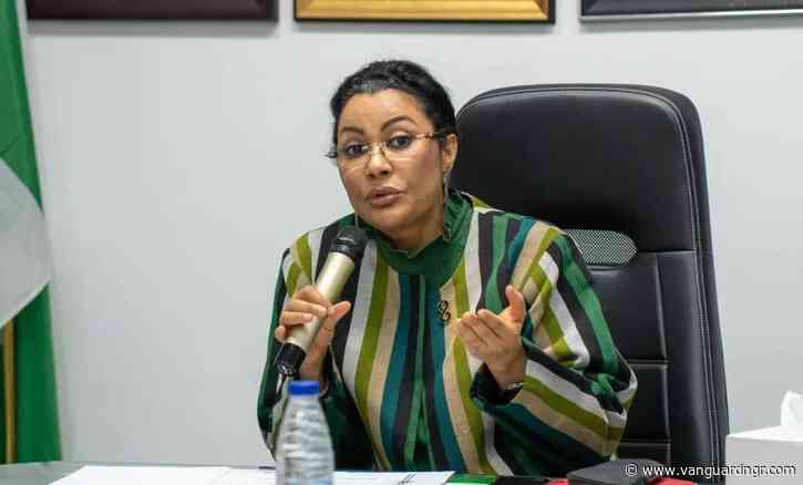 FG seeks stronger development finance, private capital for $1trn economy