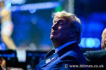 'From Vanity to Insanity': Report Alleges Donald Trump's 'Shadow Corporation' Hijacked US 250th Birthday