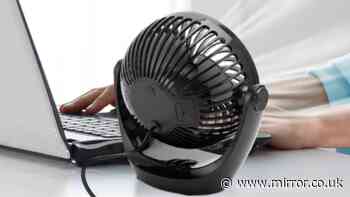 Home workers 'stay sane' in heatwaves with £17 desk fan as 30°C is forecast