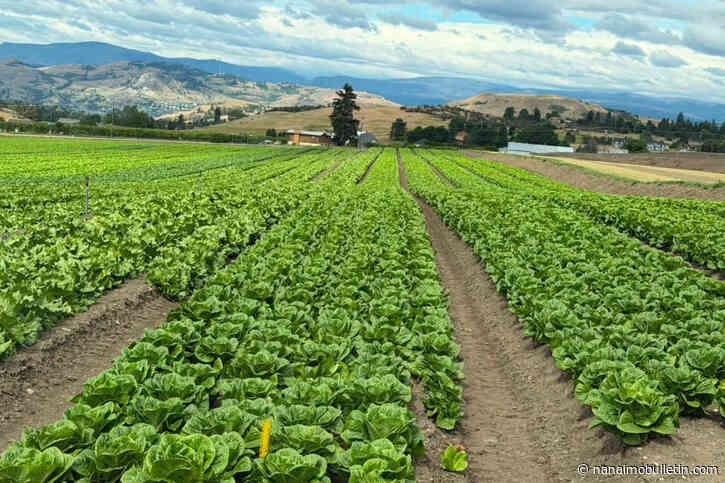 Gardens can solve food and health crisis