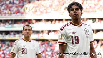 What TV channel is Spain v Austria on tonight? Kick-off time and live stream