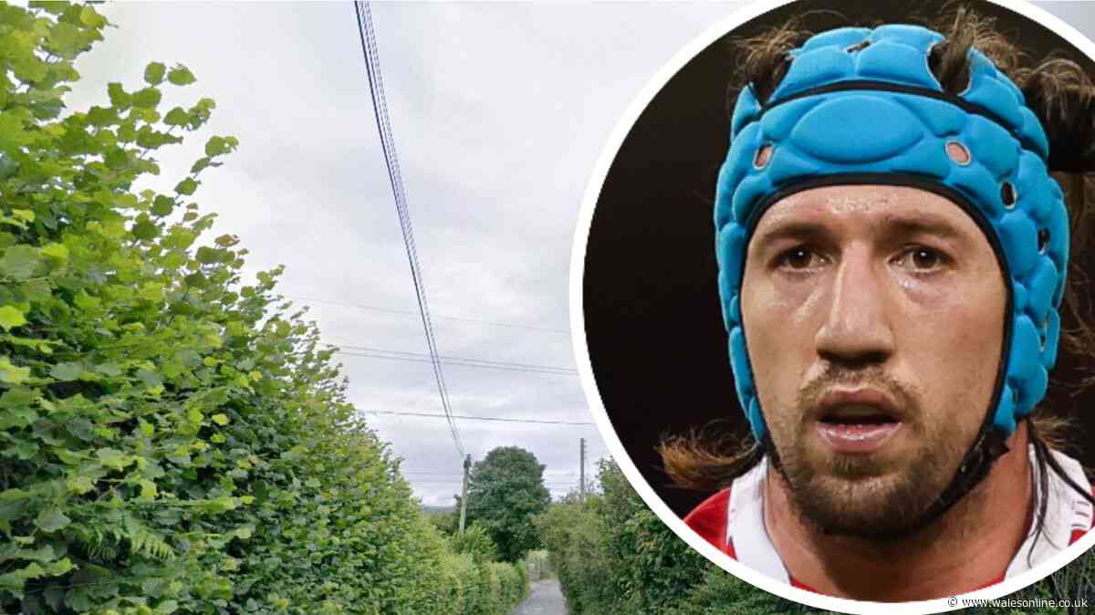 Justin Tipuric to run holiday lodges and horse-riding facilities at a farm near Morriston