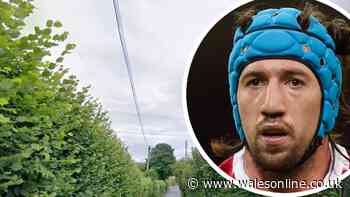 Justin Tipuric to run holiday lodges and horse-riding facilities at a farm near Morriston
