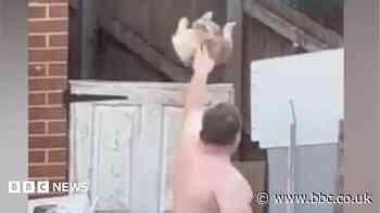 Animal ban for man filmed throwing dog over gate
