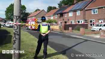 Two people die in house fire