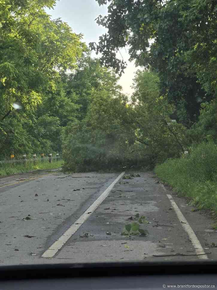 Canada Day storm caused damage, power outages