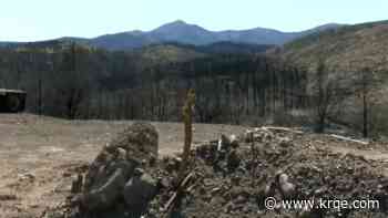 Lincoln National Forest seeks public comment on South Fork Fire, Blue 2 Fire recovery plan