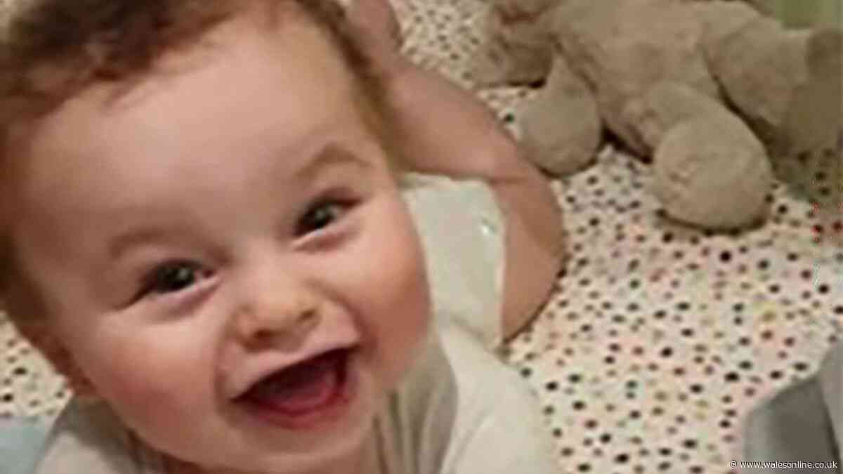 Blackpool Tower tribute planned for murdered toddler Preston Davey