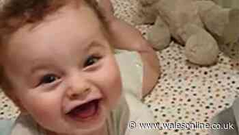 Blackpool Tower tribute planned for murdered toddler Preston Davey
