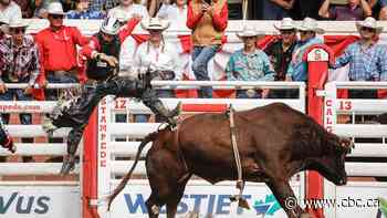 Breakout Sask. bull-riding star hoping to come out on top at Calgary Stampede