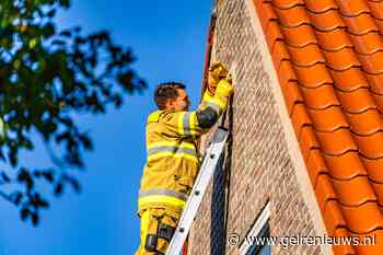 Brandweer bevrijdt vogeltje uit benarde situatie