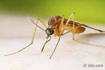 West Nile virus cases hit 22-year spike. Here's where activity is highest in US