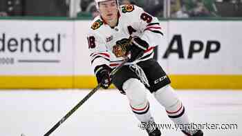 Connor Bedard concern arises for Blackhawks amid free agency surprise