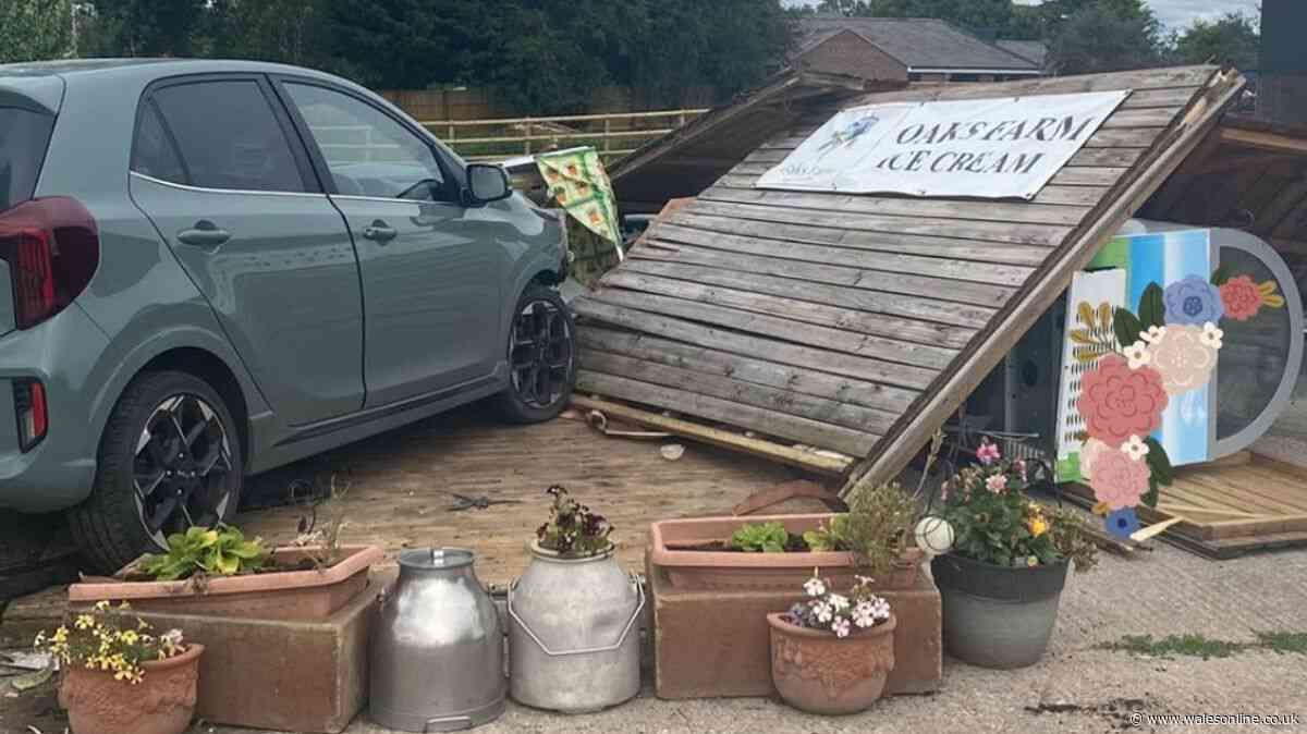 Family devastated after car ploughs into ice cream hut