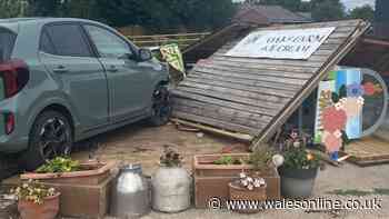 Family devastated after car ploughs into ice cream hut
