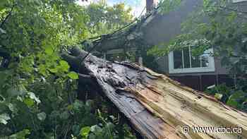 Ottawa-Gatineau cleans up after storm under smothering heat