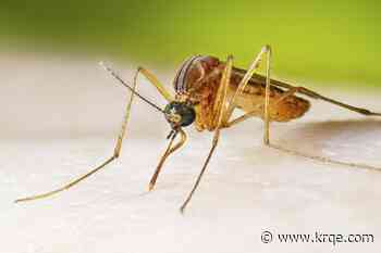 West Nile virus cases hit 22-year spike. Here's where activity is highest in US