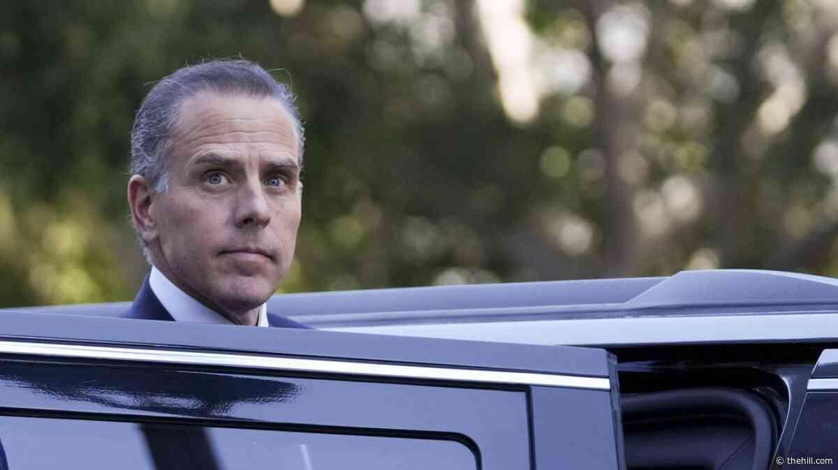 Hunter Biden jabs Trump with mock Nobel Peace Prize nomination over Iran
