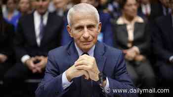 Fauci's secret intelligence contacts revealed: The man who hunted him for six years exposes what new trove of files really shows... and his two-word verdict on the doctor America worshipped