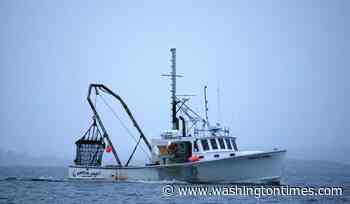 Trump lifts Biden/Obama ban on fishermen accessing booming scallop fishing grounds