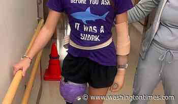 Shark attack on Alabama teen inspires the start of a national alert system