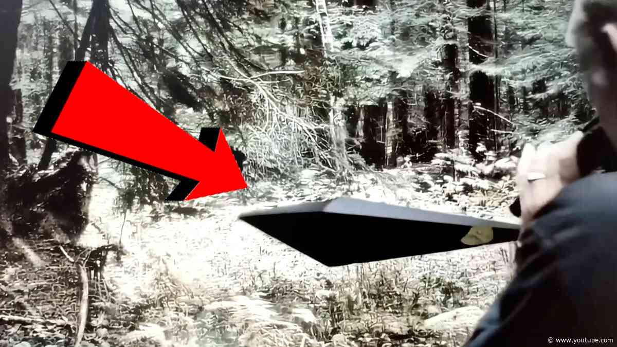 Dangerous Encounter Man Confronts Alien In The Woods.