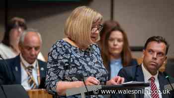 'Why should Welsh councils, schools and children miss out because of a Welsh Government decision?'