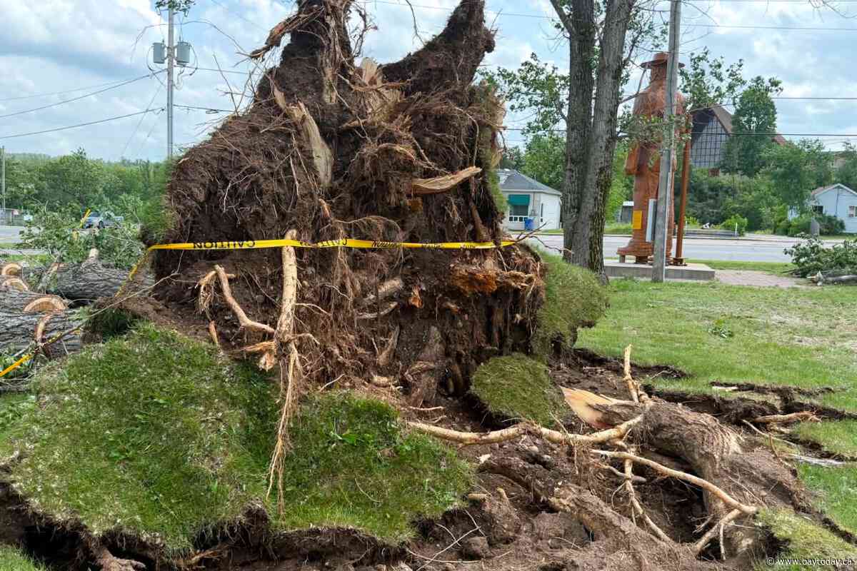 Storm knocks out power in Calvin Township, Papineau-Cameron Township and Mattawa