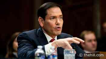 US designates Ecuador's Chone Killers gang as terrorist organization