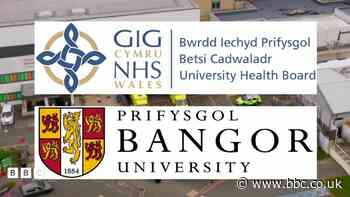 Galw am ymchwiliad allanol i wariant Betsi Cadwaladr ar ymchwil iechyd meddwl