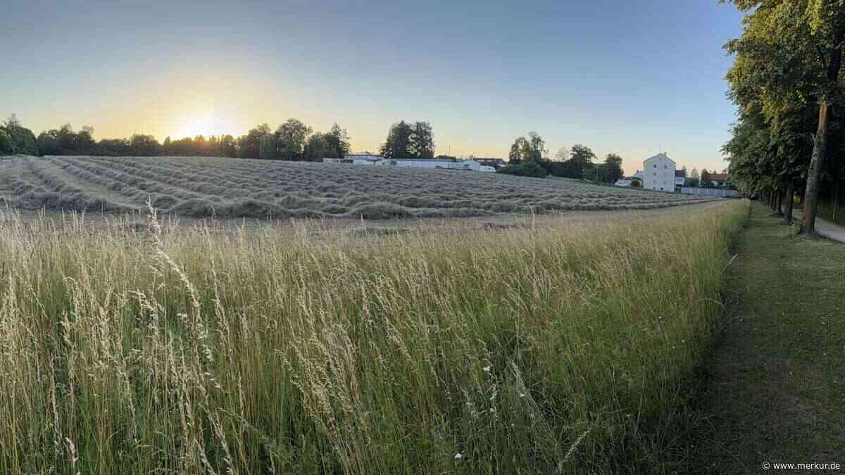 Gemeinderat gibt grünes Licht für Bebauung der Schweigerwiese