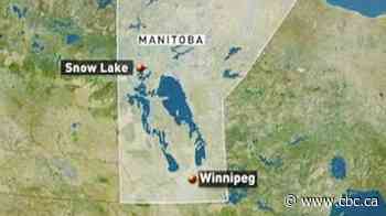 Man clearing site in northern Manitoba dies after being hit by felled tree