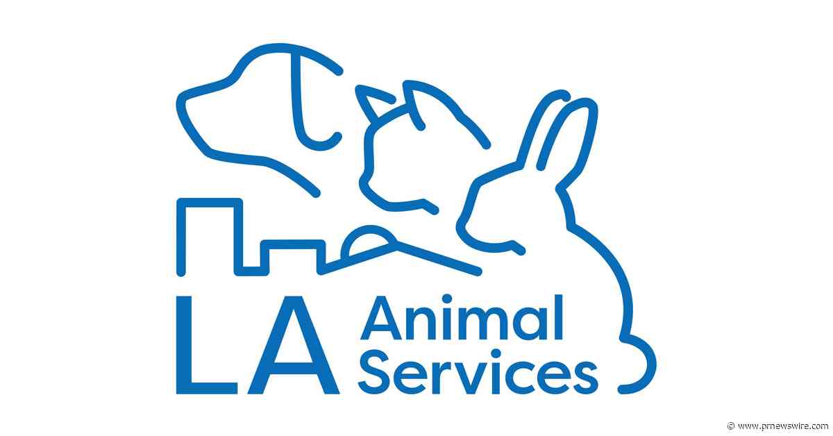 City Council Approves $14 Million Initiative Led by ASPCA and Best Friends Animal Society
