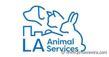 City Council Approves $14 Million Initiative Led by ASPCA and Best Friends Animal Society