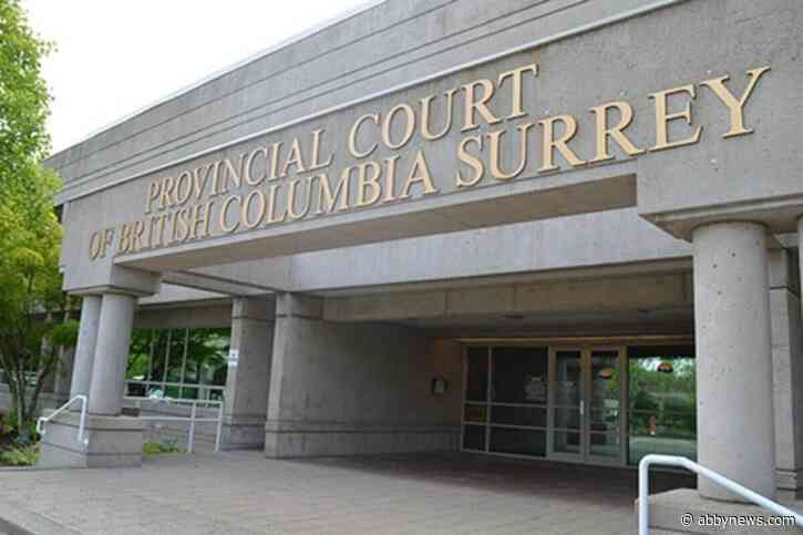 Surrey judge sets 4-year sentence for driving ‘rampage’ that led to 13 crashes, 9 victims injured