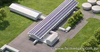 Custom kill abattoir for small holders gains traction with site under offer