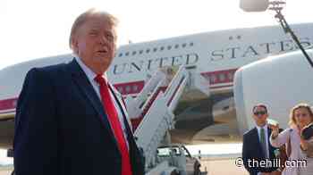 Trump says 'nothing illegal' about massive crypto profits