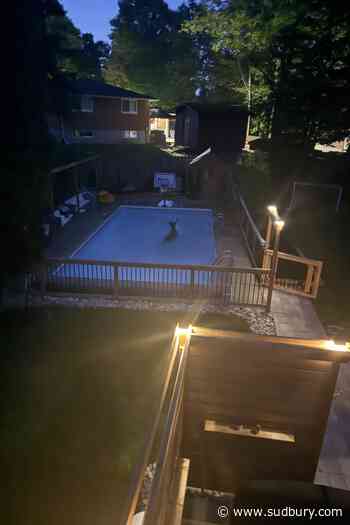 North Bay homeowner's backyard pool damaged in a 'uniquely Canadian way'