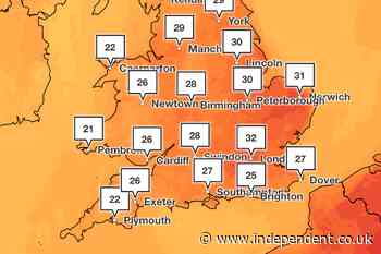 UK marine heatwave could reach ‘extreme’ levels next week – here’s the impact it could have