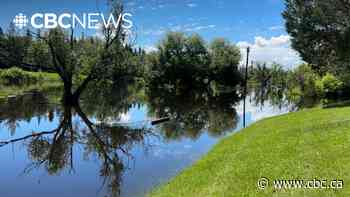 High water levels impacting parts of St. Albert