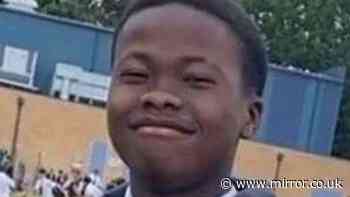 Tributes to boy, 15, who died after swimming in a popular Forest lake