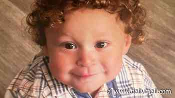 Toddler wrongly declared dead lay in MORGUE for five hours after parents smoked weed and let him wander into pool at $750k home, police report claims... now his prognosis is heartbreakingly grim