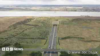 New crossing spared after spending cuts announced