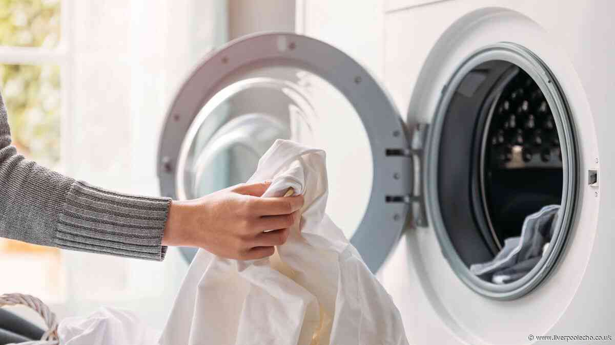 Washing machines will be free of mould for good if you do 3-second task after every wash