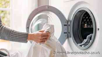 Washing machines will be free of mould for good if you do 3-second task after every wash